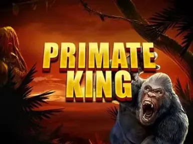 Kaasino Casino screenshot